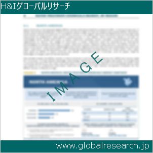 グローバルリサーチ調査レポートのイメージ